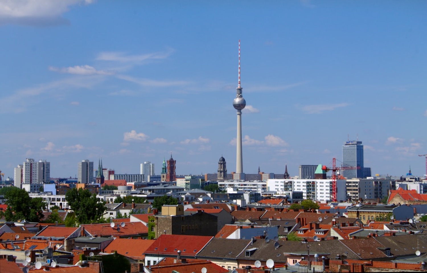 Immobilienmakler Zwickau