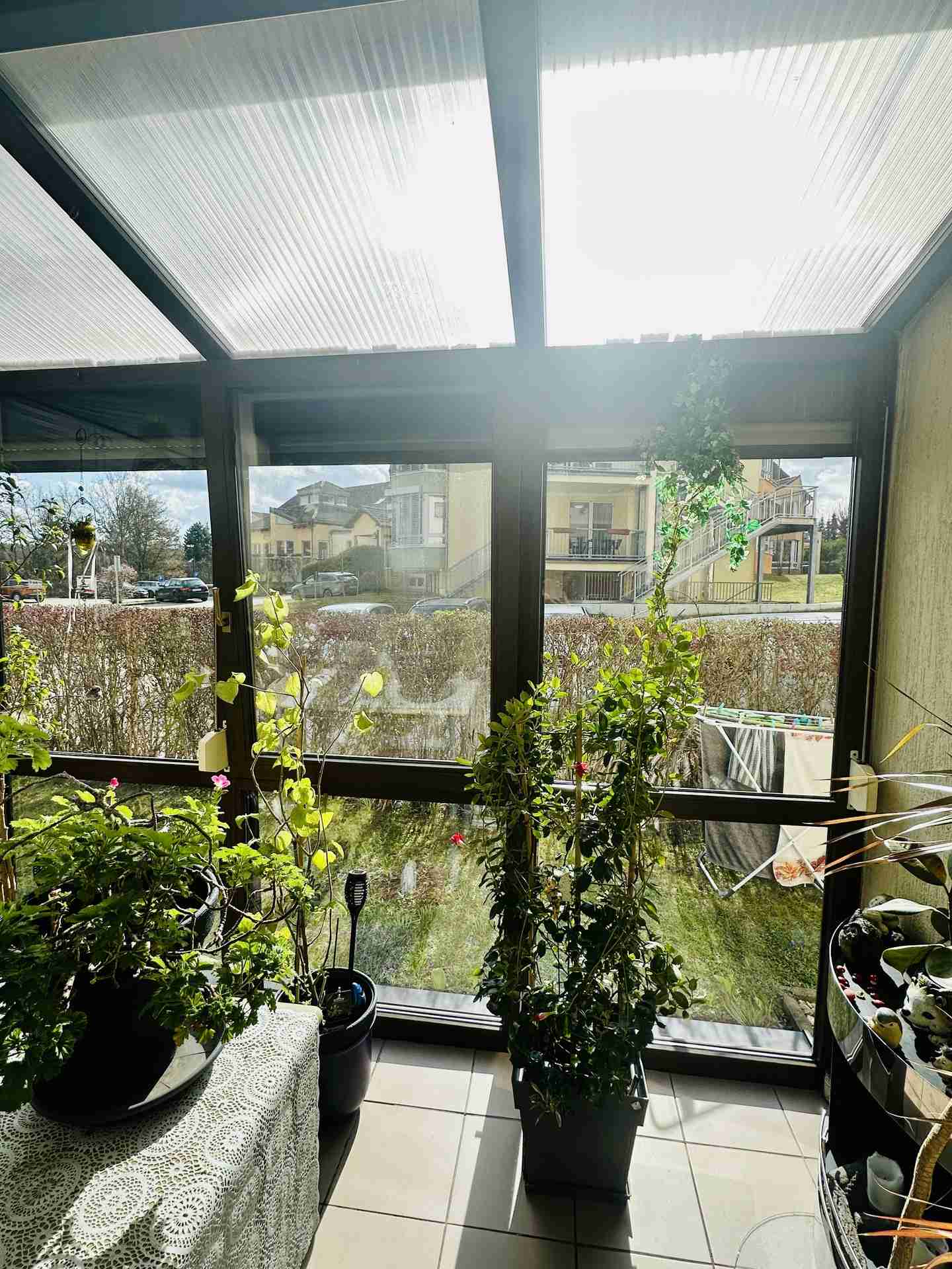 Foto 6