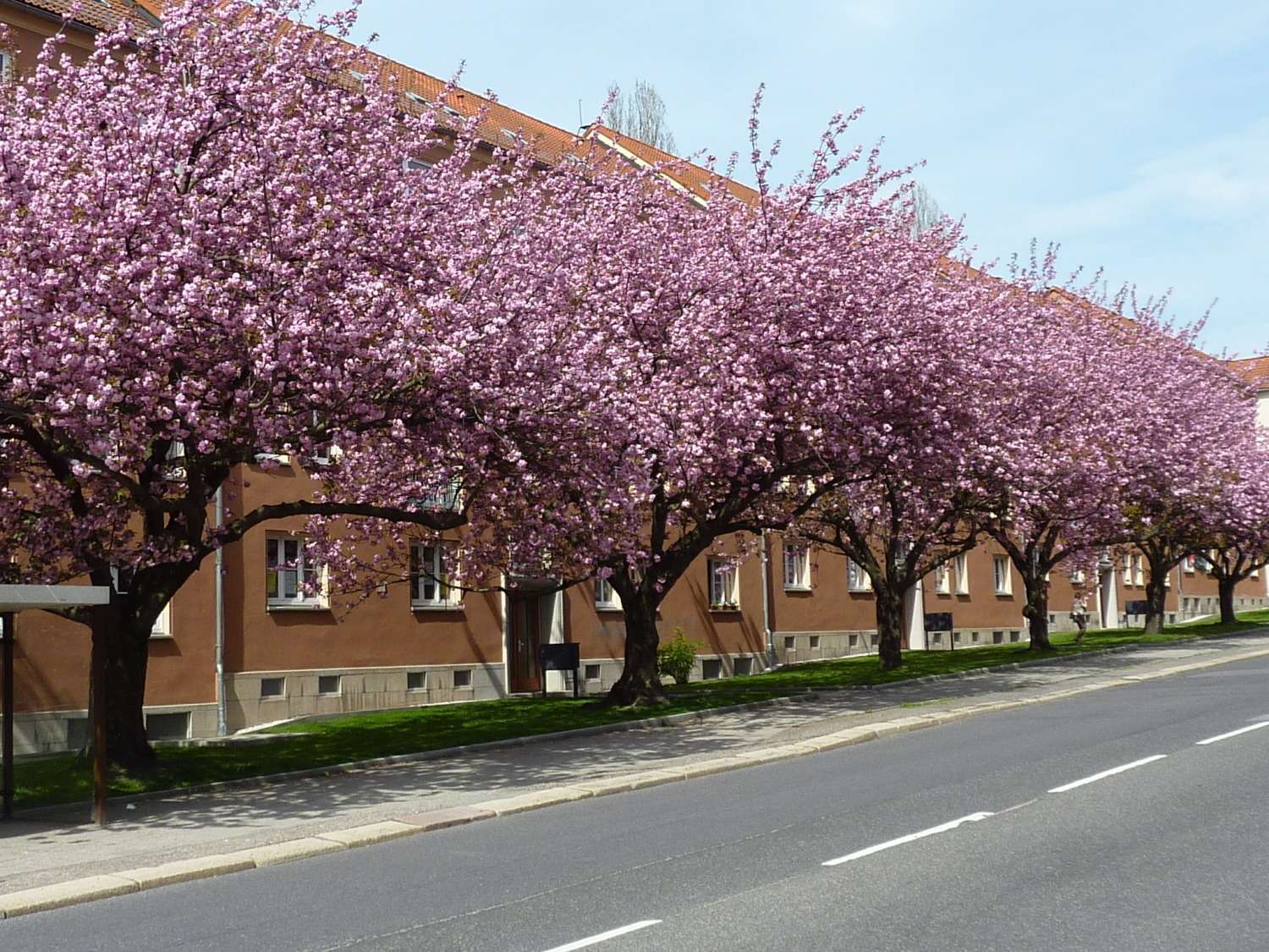2-Raum-Wohnung im beliebten Lutherviertel